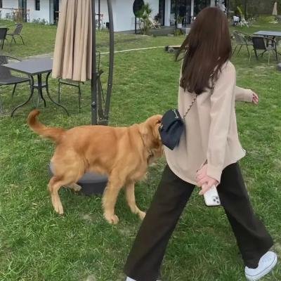 恋爱
